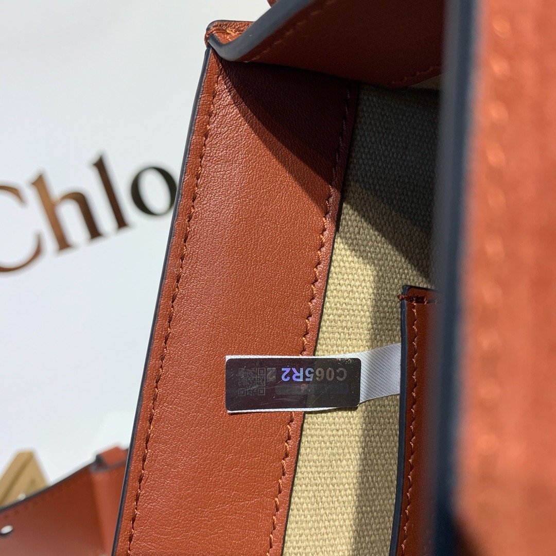 Chloe Nile Nile Bracelet Bag 002