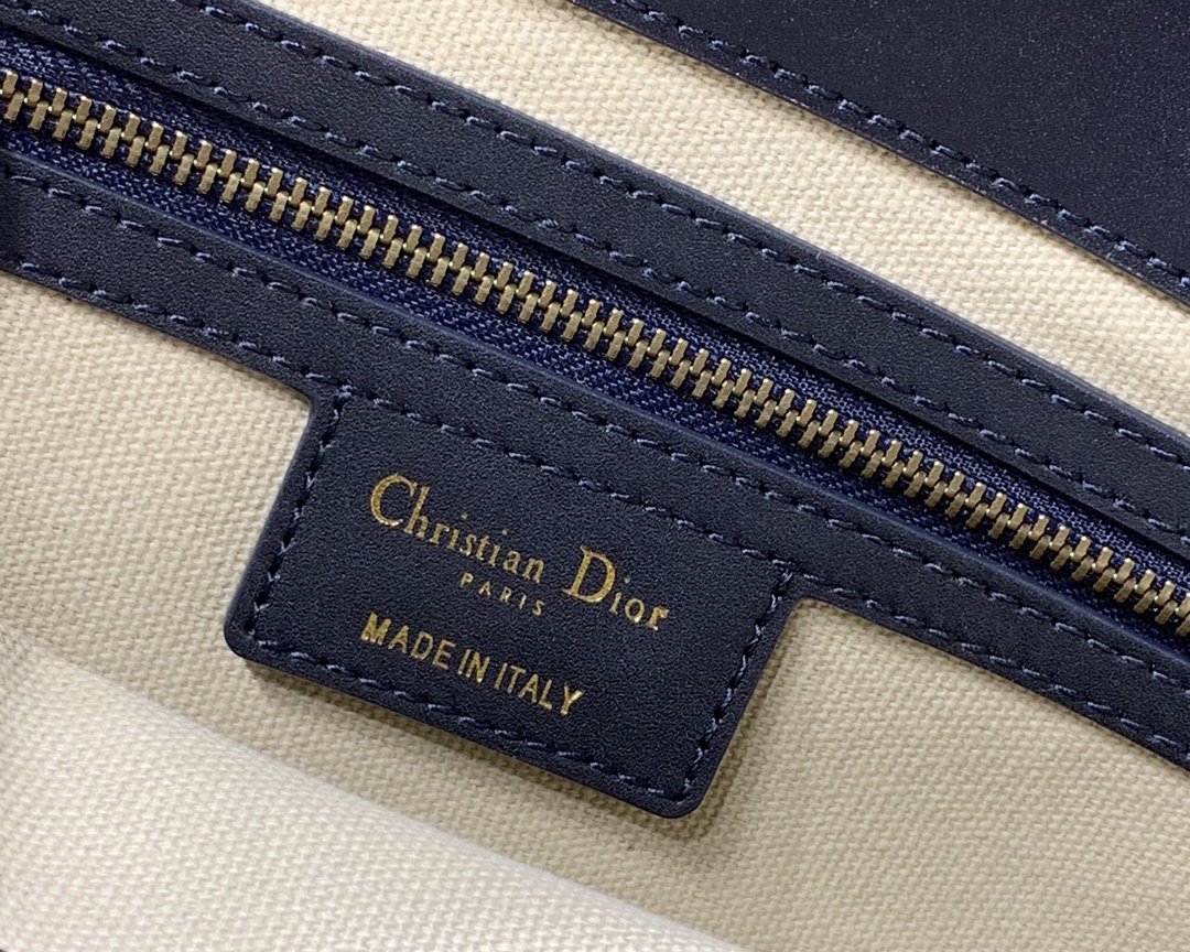 D10r oblique Handbag
