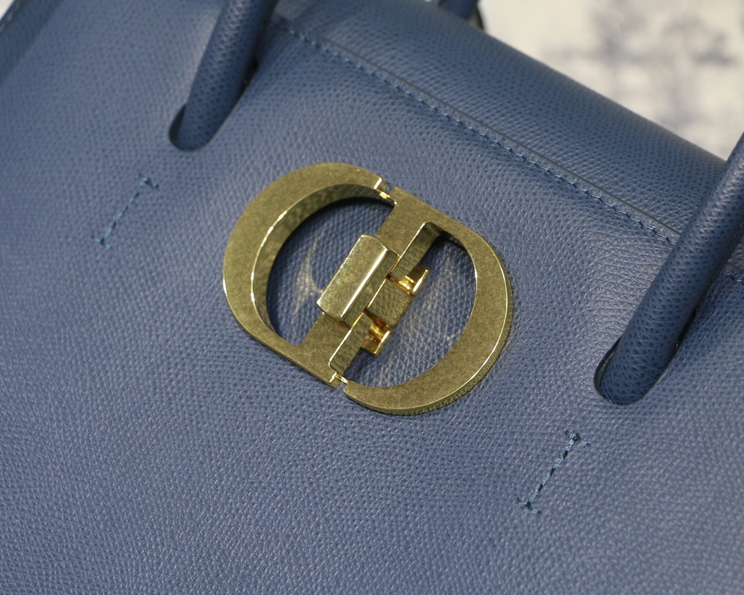 D10r 30 Montaigne Bag