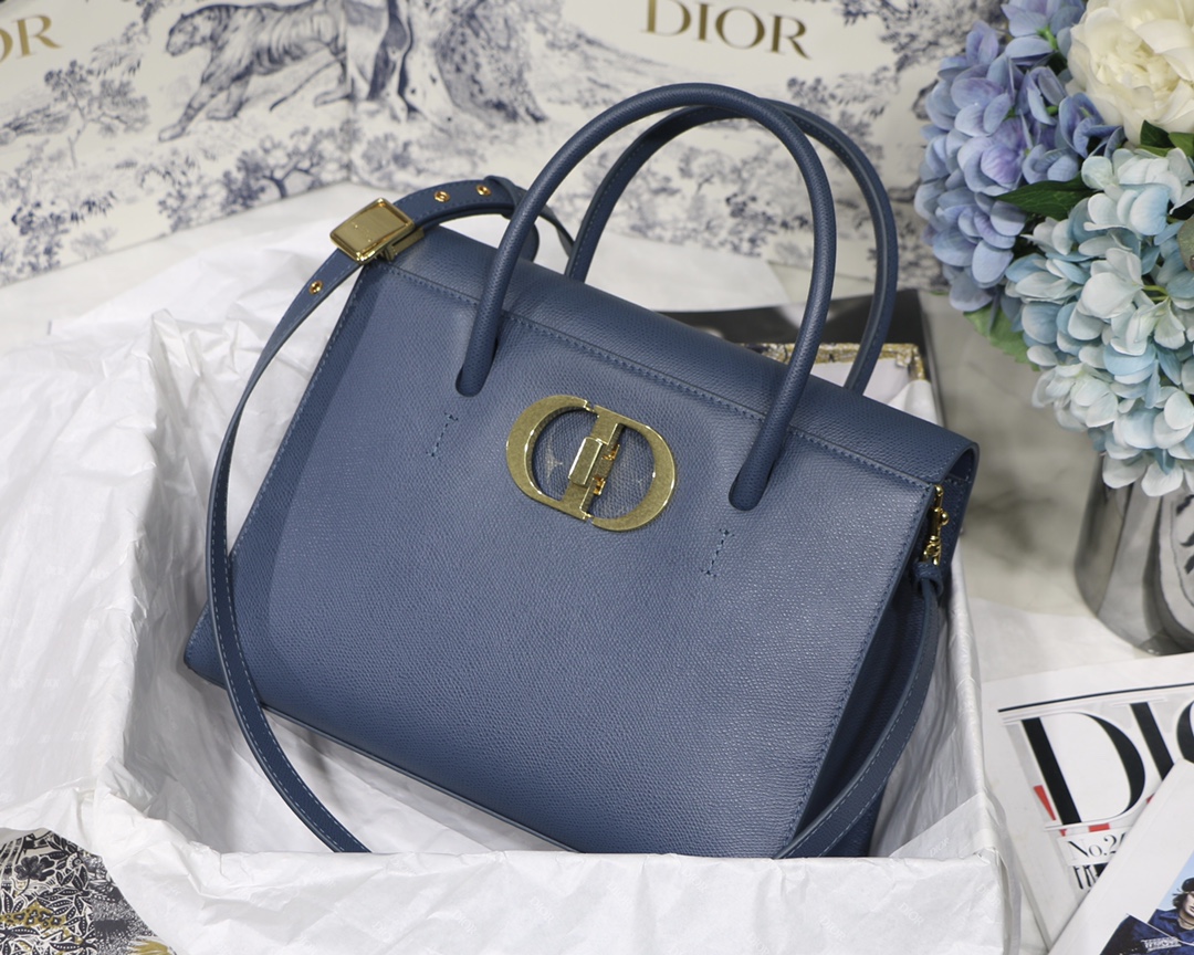 D10r 30 Montaigne Bag