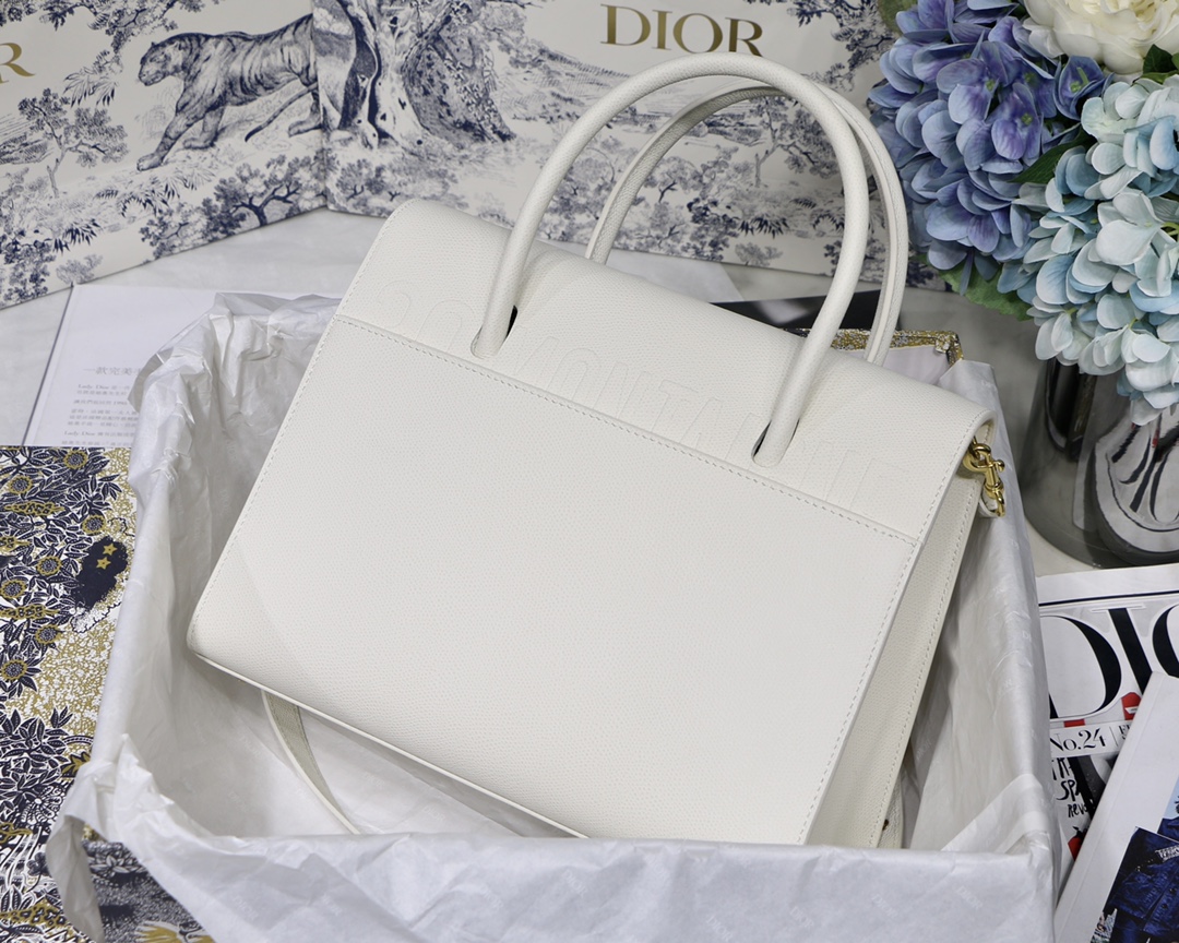 D10r 30 Montaigne Bag 001