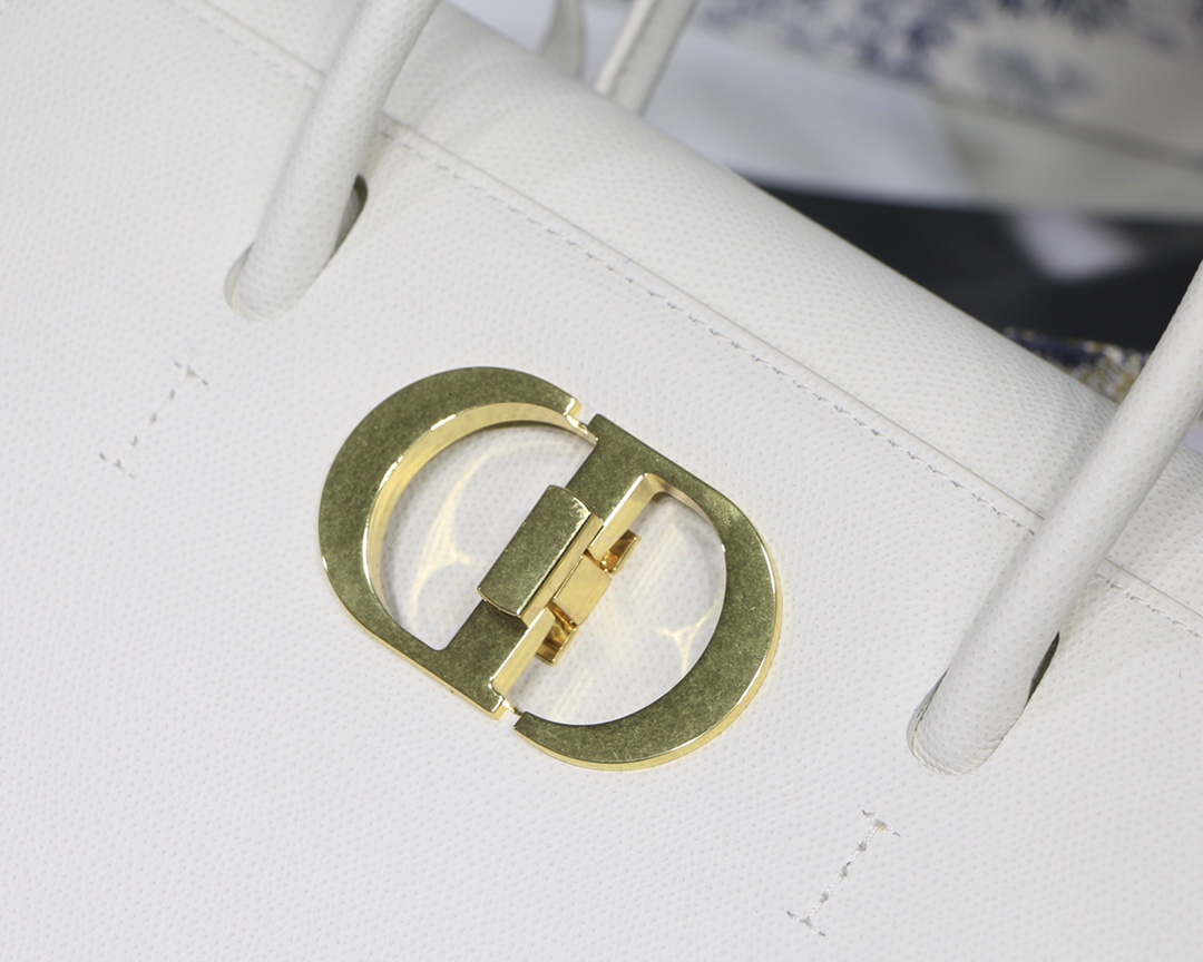 D10r 30 Montaigne Bag 001