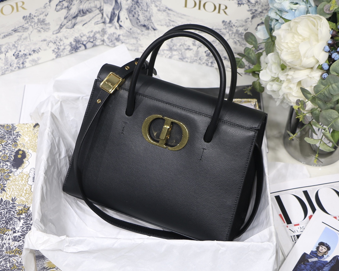 D10r 30 Montaigne Bag 002