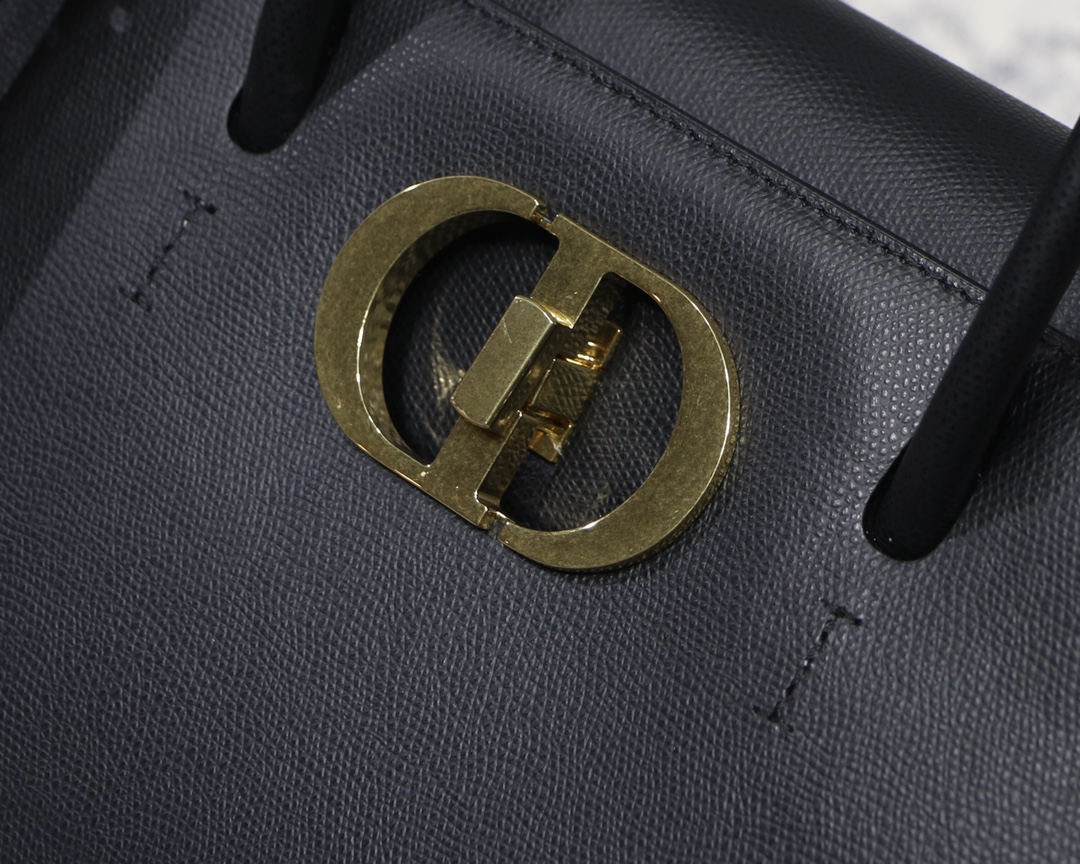 D10r 30 Montaigne Bag 002