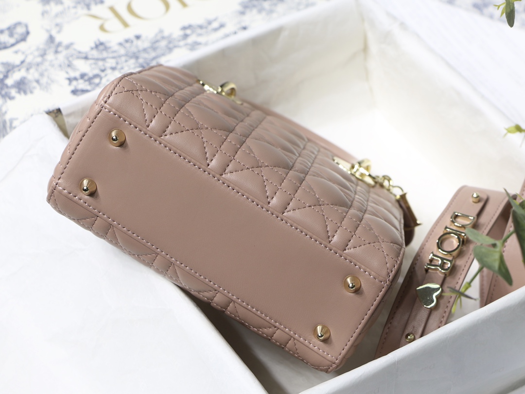 Lady D10r bag 20cm 001