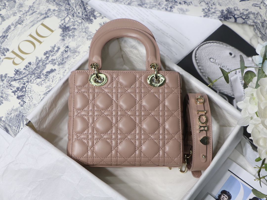 Lady D10r bag 20cm 001