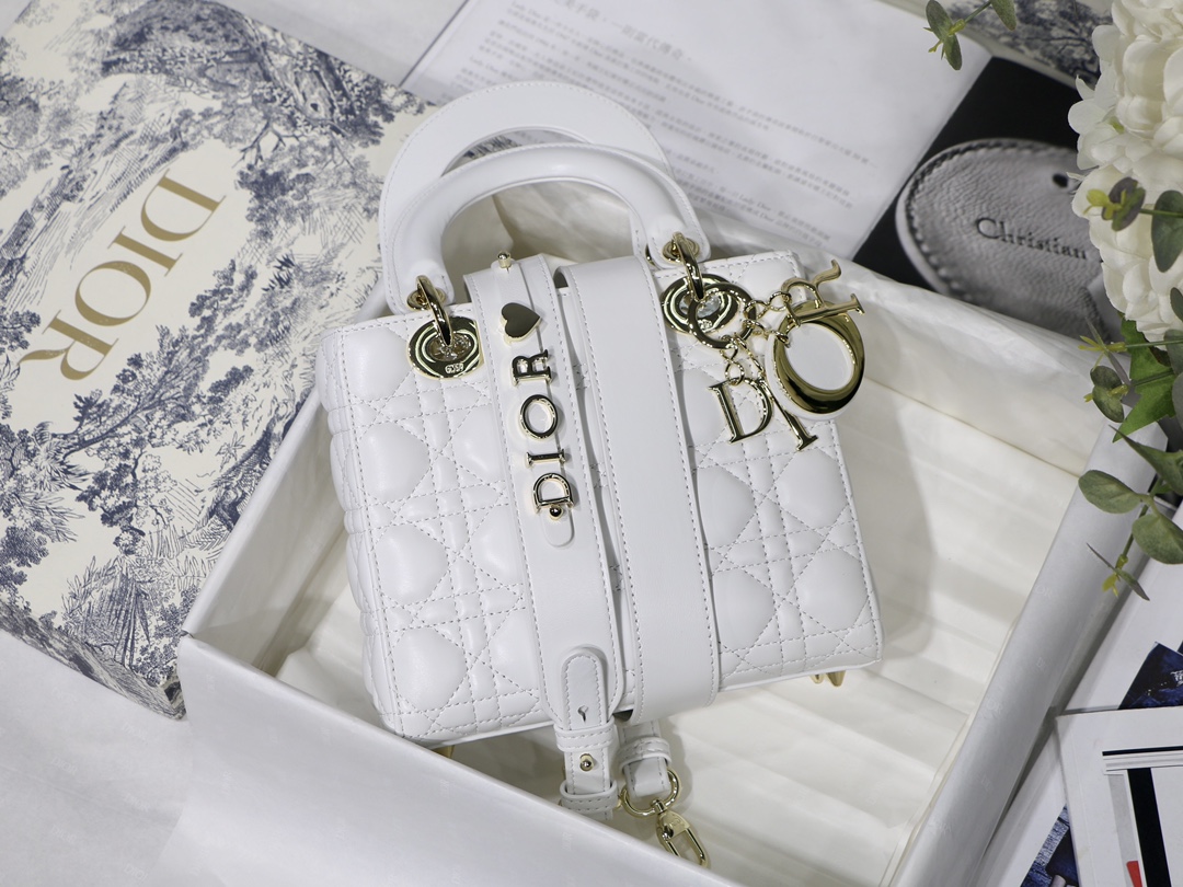 Lady D10r bag 20cm 003
