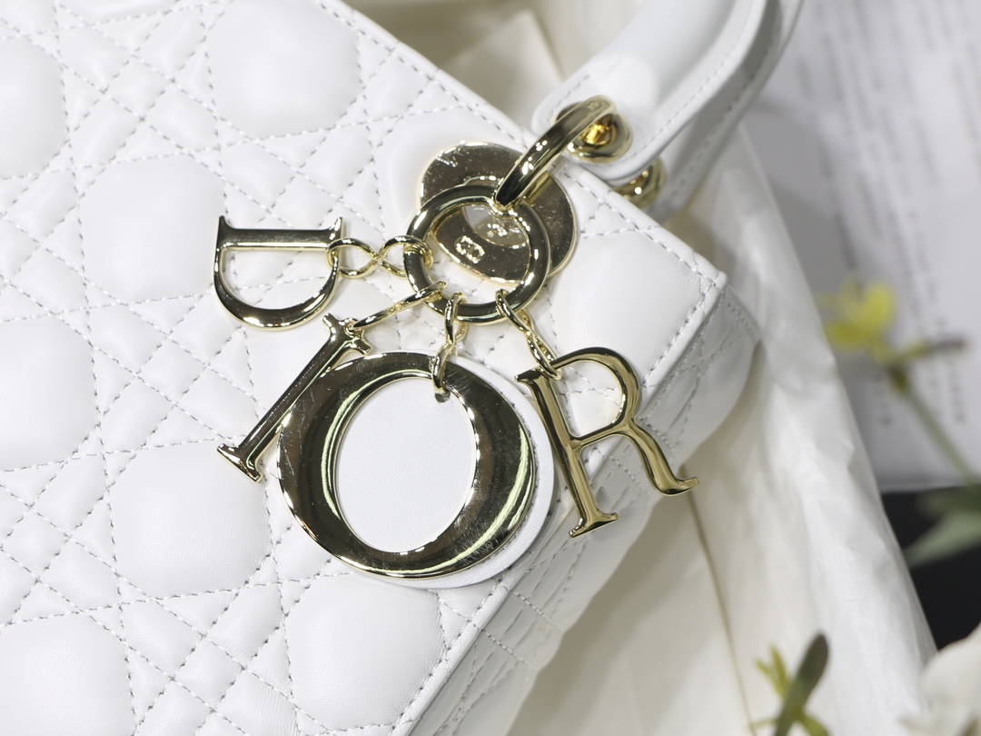 Lady D10r bag 20cm 003