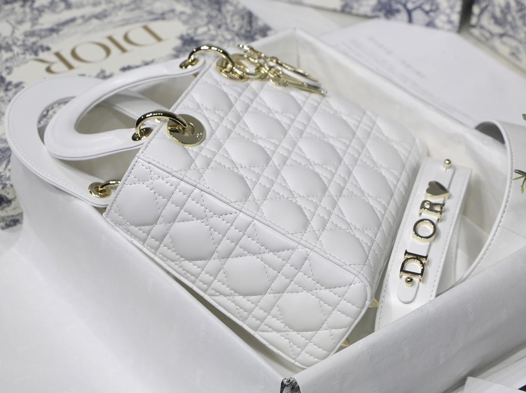 Lady D10r bag 20cm 003