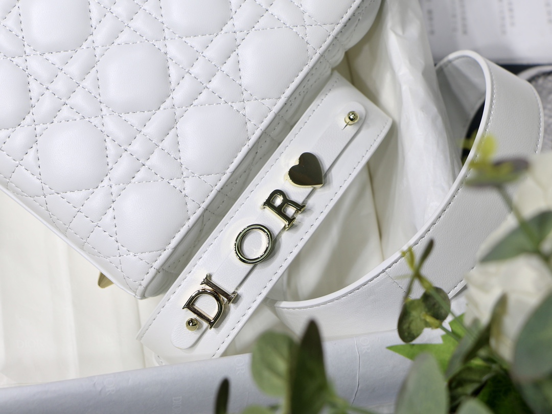 Lady D10r bag 20cm 003