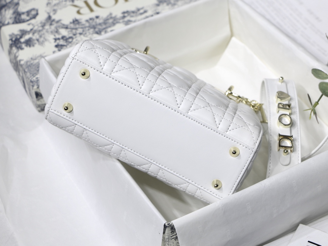 Lady D10r bag 20cm 003
