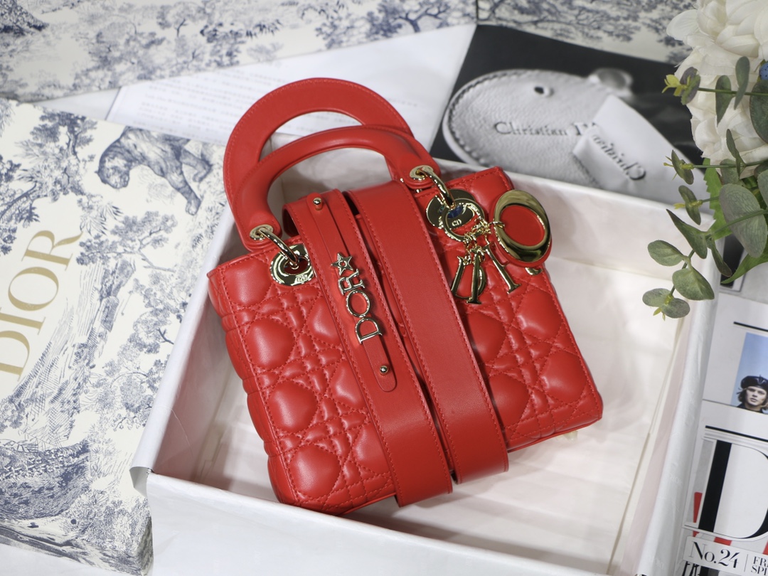 Lady D10r bag 20cm 004