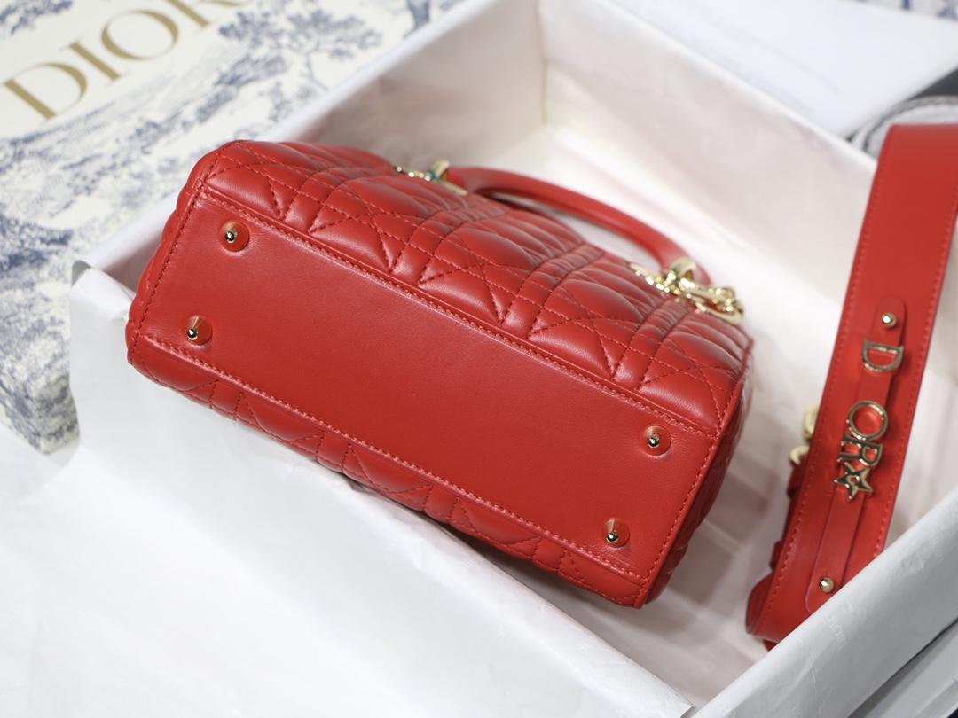 Lady D10r bag 20cm 004