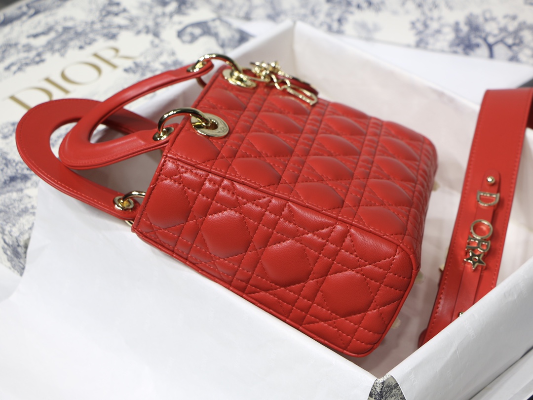 Lady D10r bag 20cm 004
