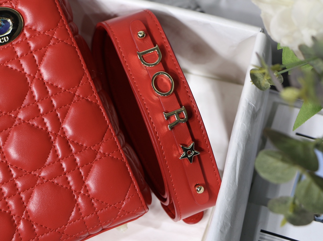 Lady D10r bag 20cm 004