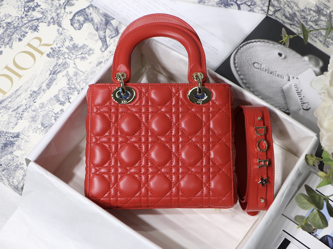 Lady D10r bag 20cm 004