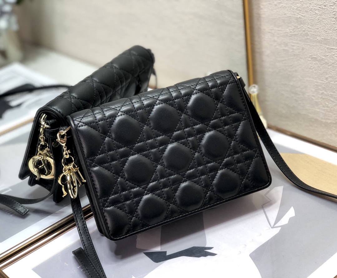D10rCaro Bag 18cm 03