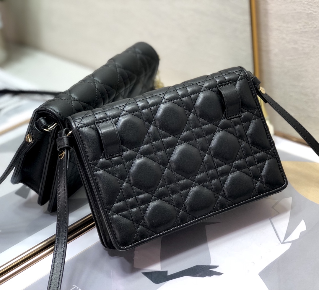 D10rCaro Bag 18cm 03