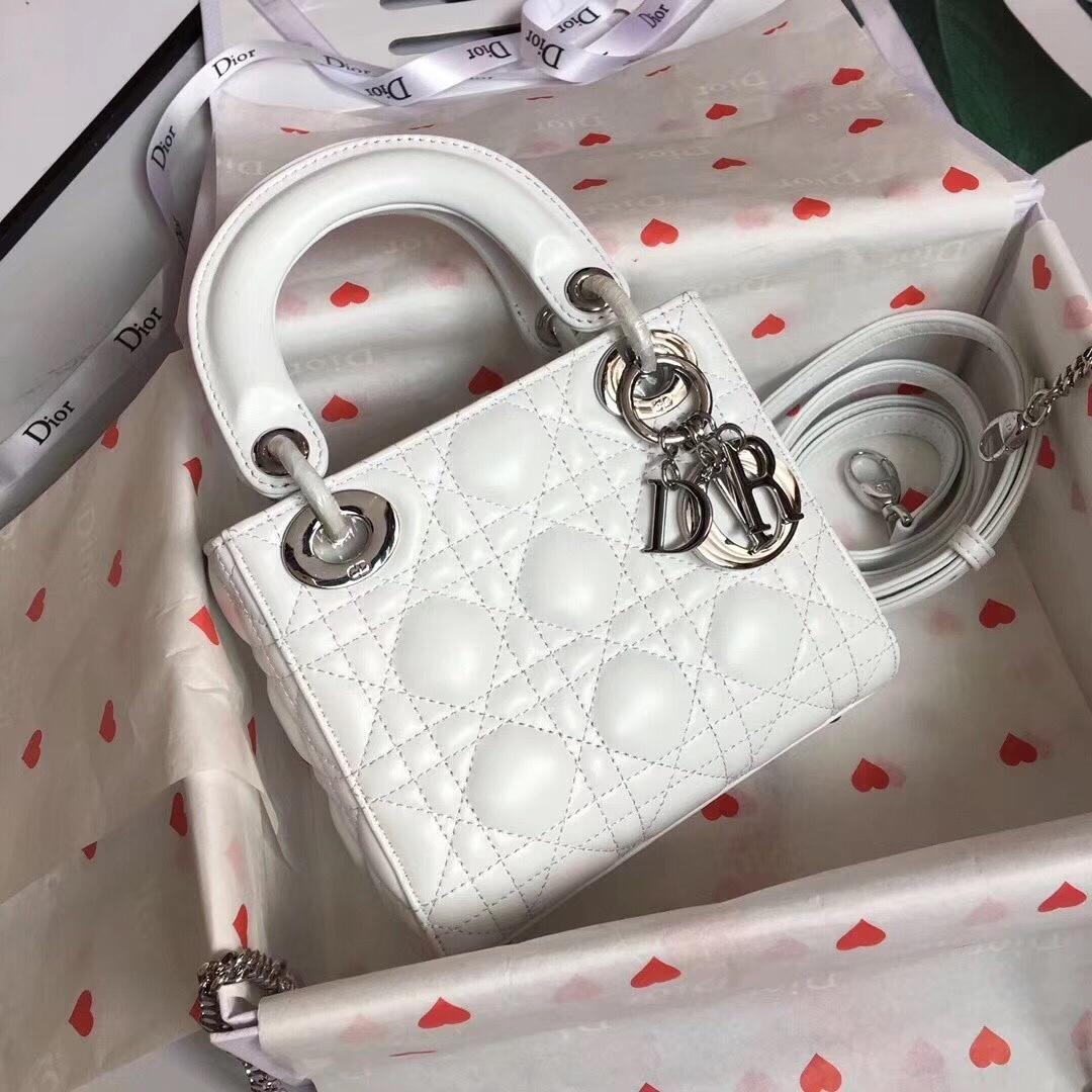 D10r Lady D10r bag 17cm