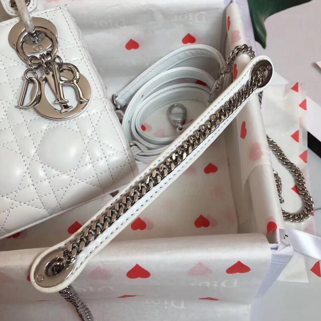 D10r Lady D10r bag 17cm