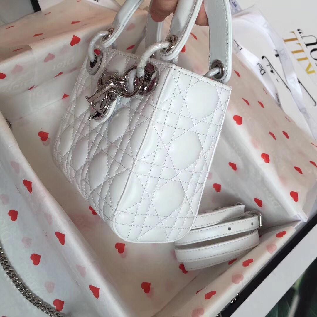 D10r Lady D10r bag 17cm