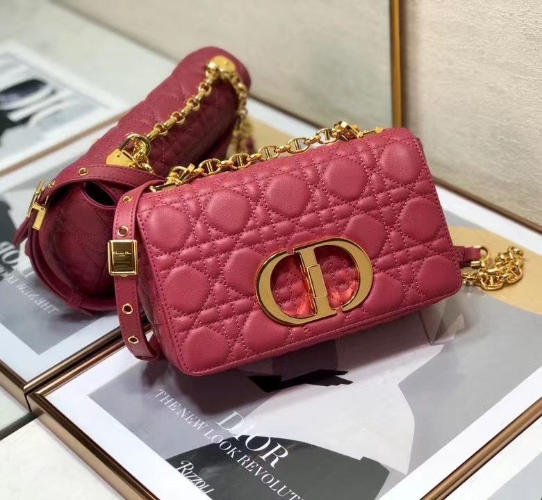 D10r 2021 Caro Bag 20cm 002