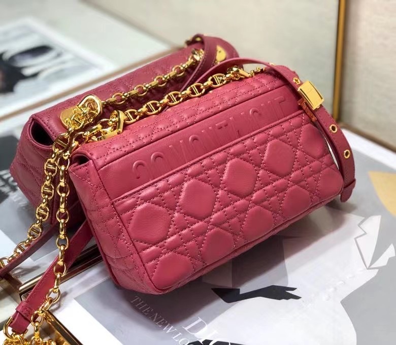 D10r 2021 Caro Bag 20cm 002