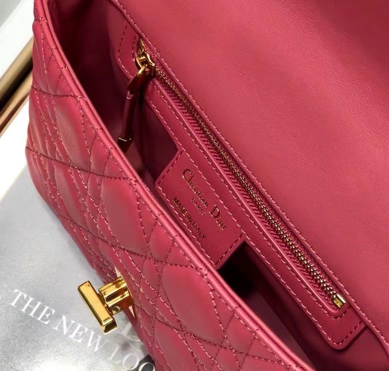 D10r 2021 Caro Bag 20cm 002