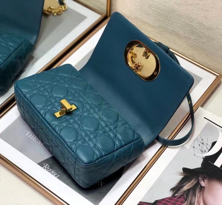 D10r 2021 Caro Bag 20cm 004