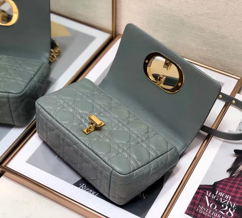 D10r 2021 Caro Bag 20cm 005