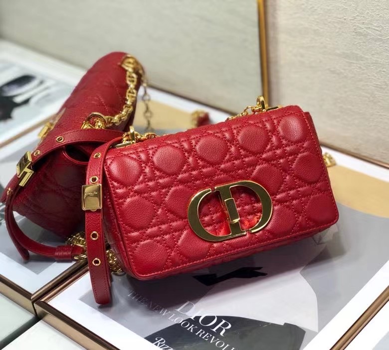 D10r 2021 Caro Bag 20cm 006