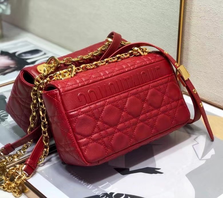 D10r 2021 Caro Bag 20cm 006