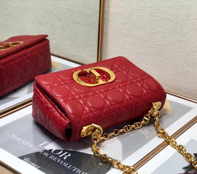 D10r 2021 Caro Bag 20cm 006