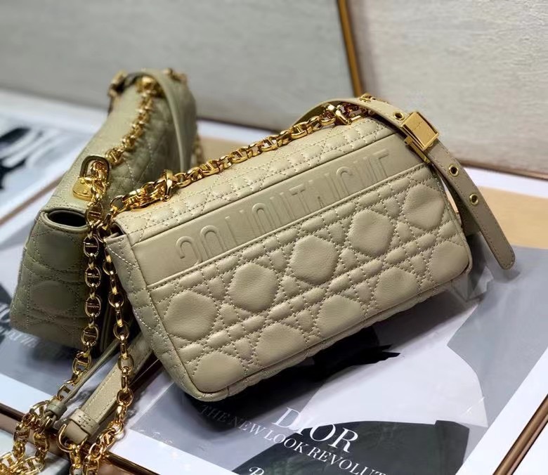D10r 2021 Caro Bag 20cm 007