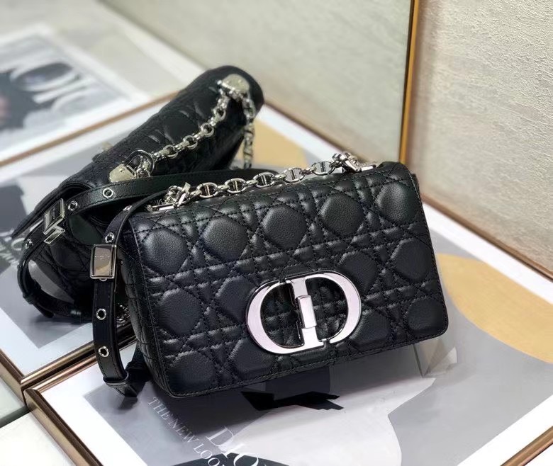 D10r 2021 Caro Bag 20cm 008