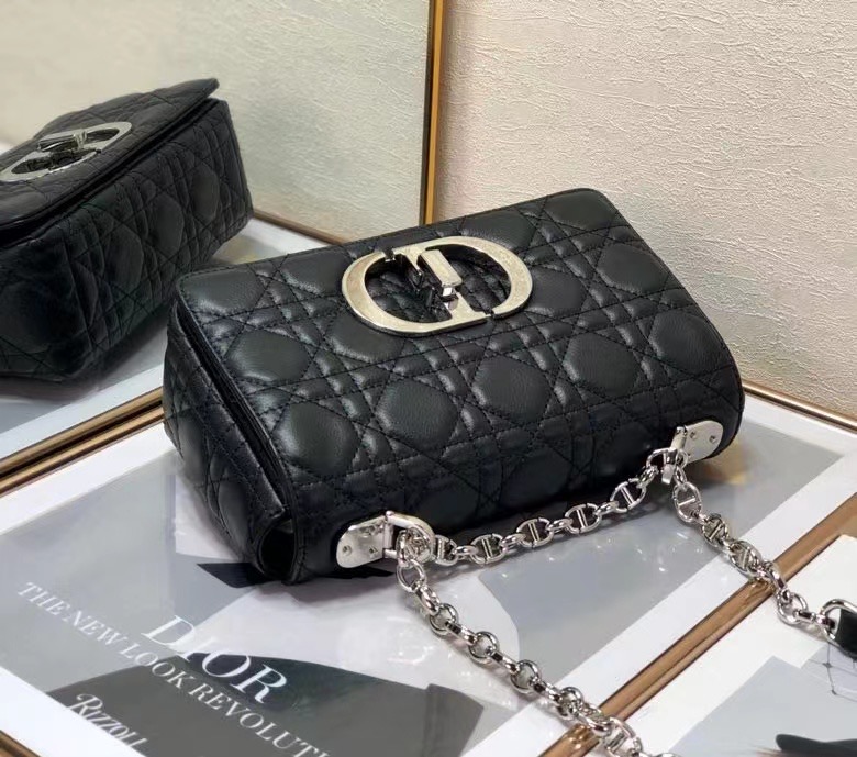 D10r 2021 Caro Bag 20cm 008