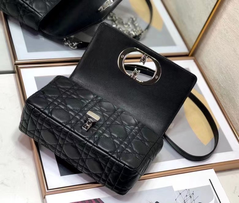 D10r 2021 Caro Bag 20cm 008