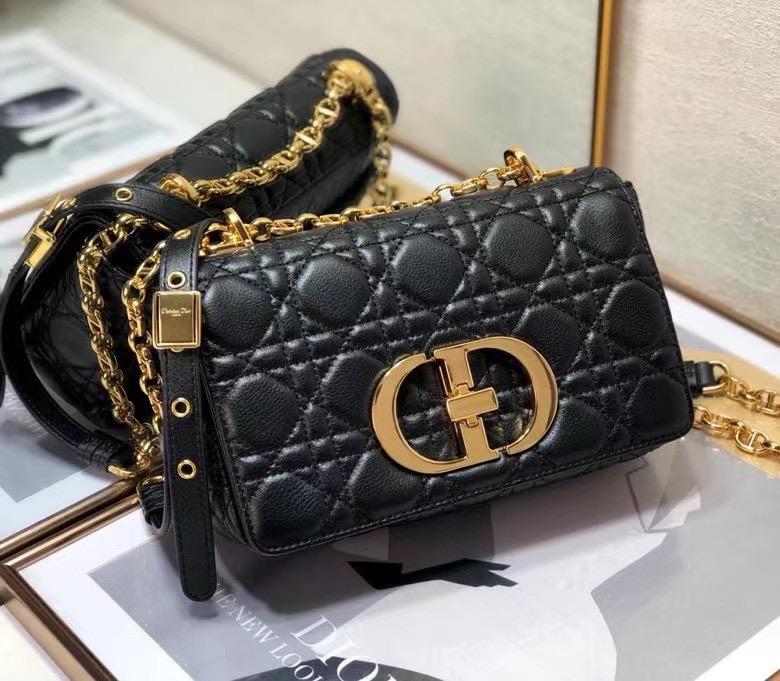 D10r 2021 Caro Bag 20cm 009