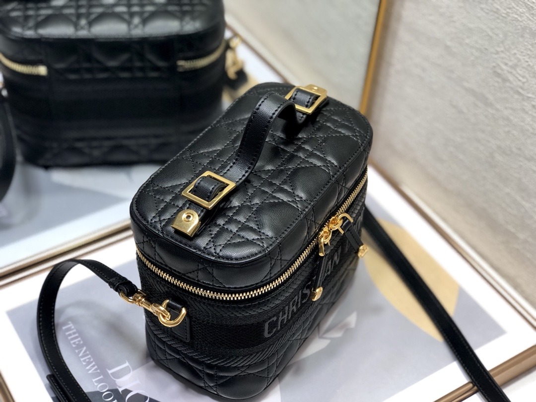 D10r Vanity Case Small Bag