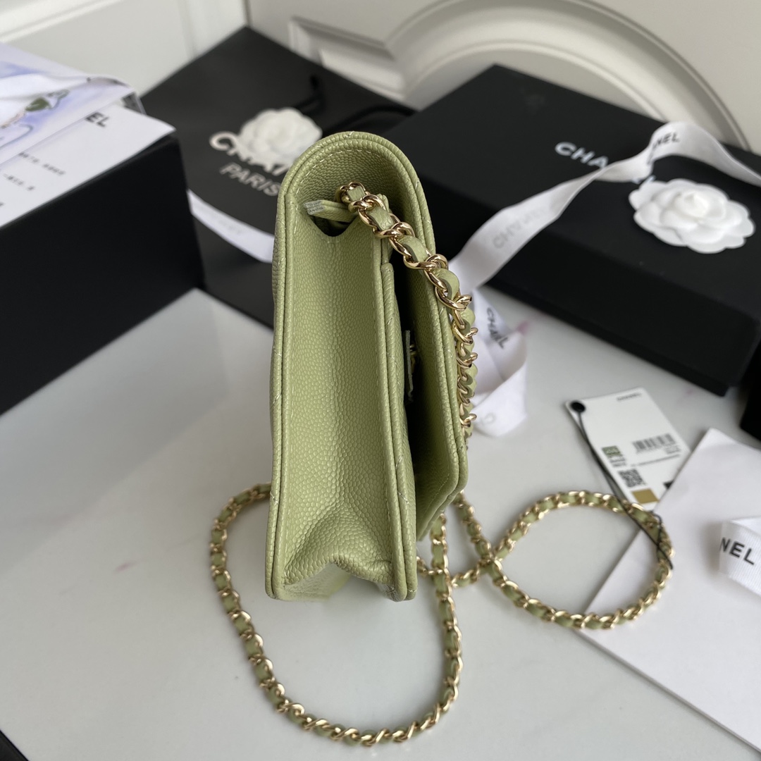 Chane AP1794 WOC wallet on chain bag