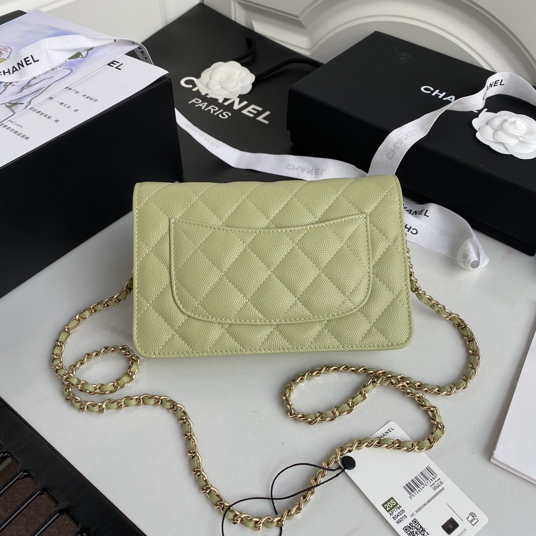 Chane AP1794 WOC wallet on chain bag