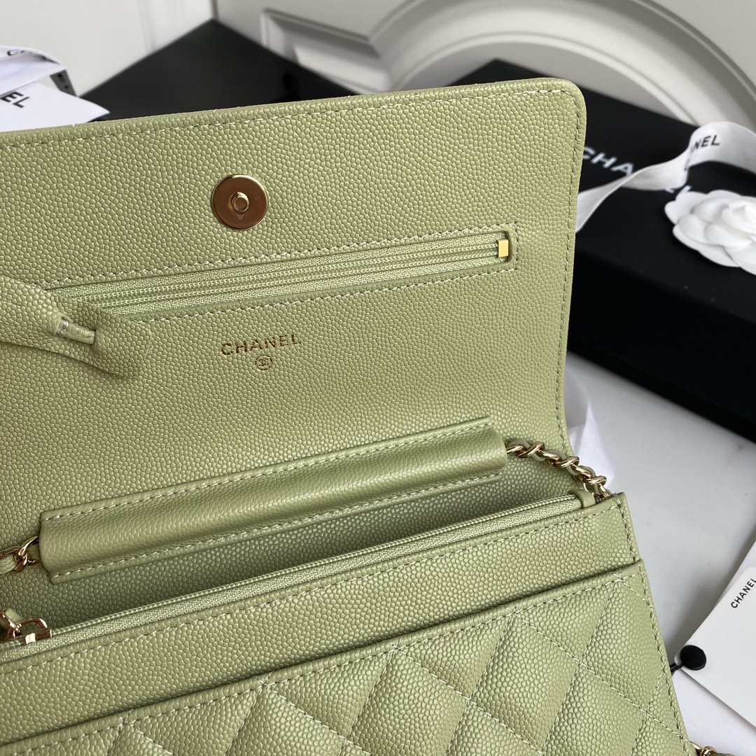 Chane AP1794 WOC wallet on chain bag