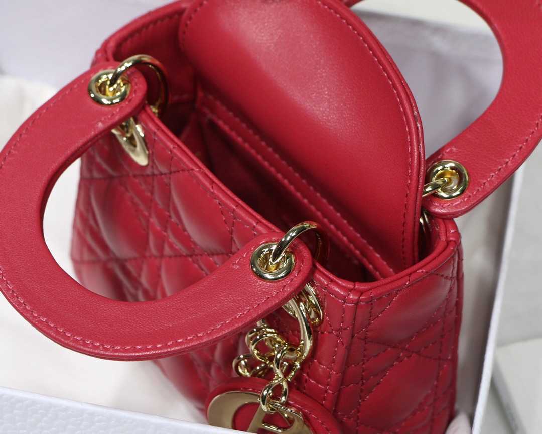 Lady D10r Micro 12cm 004