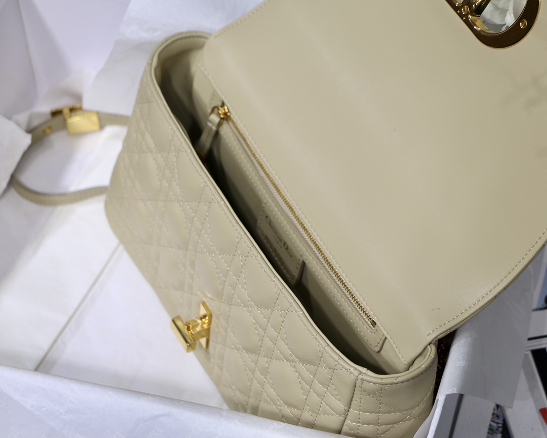 D10r Caro bag 25.5cm