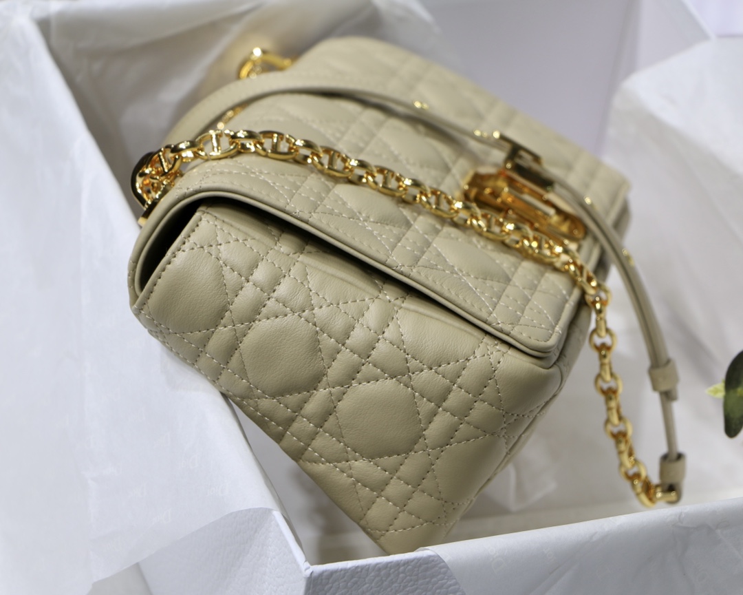 D10r Caro bag 25.5cm