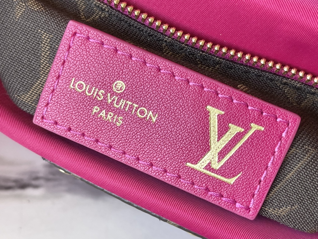 LV Maxi Multi Pochette Accessoires