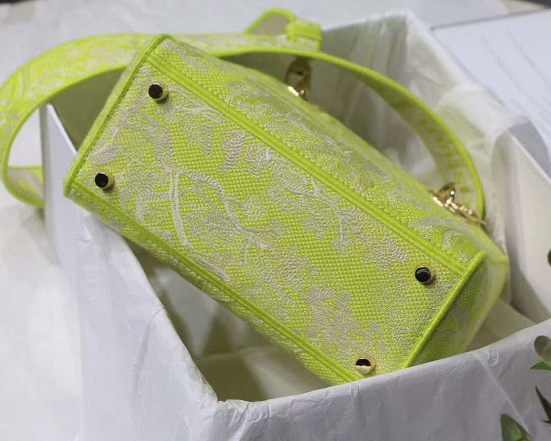 Lady D10r Green bag 24cm