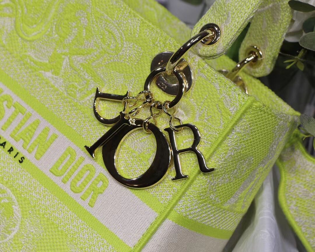 Lady D10r Green bag 24cm