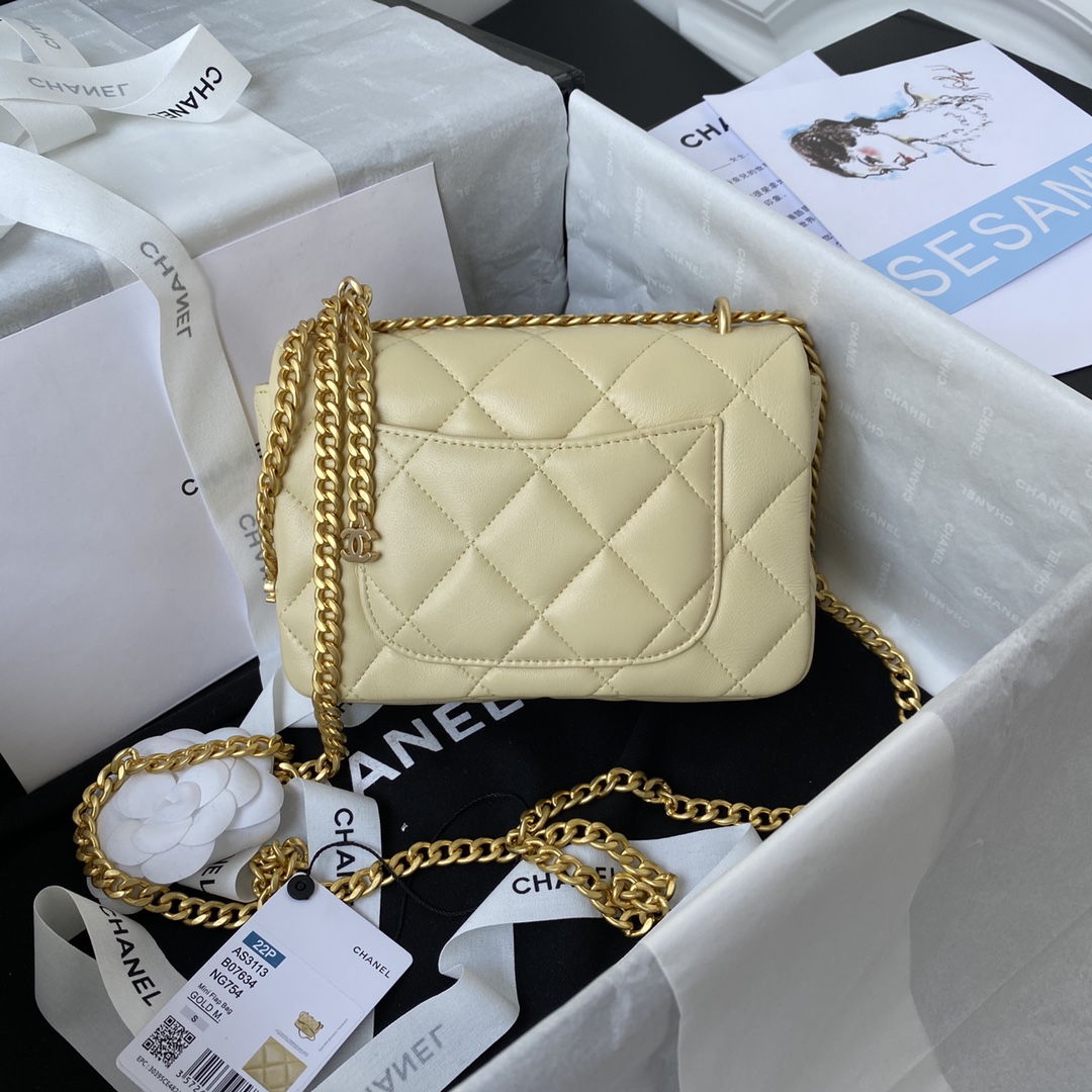 Ch**el bag AS3113 003