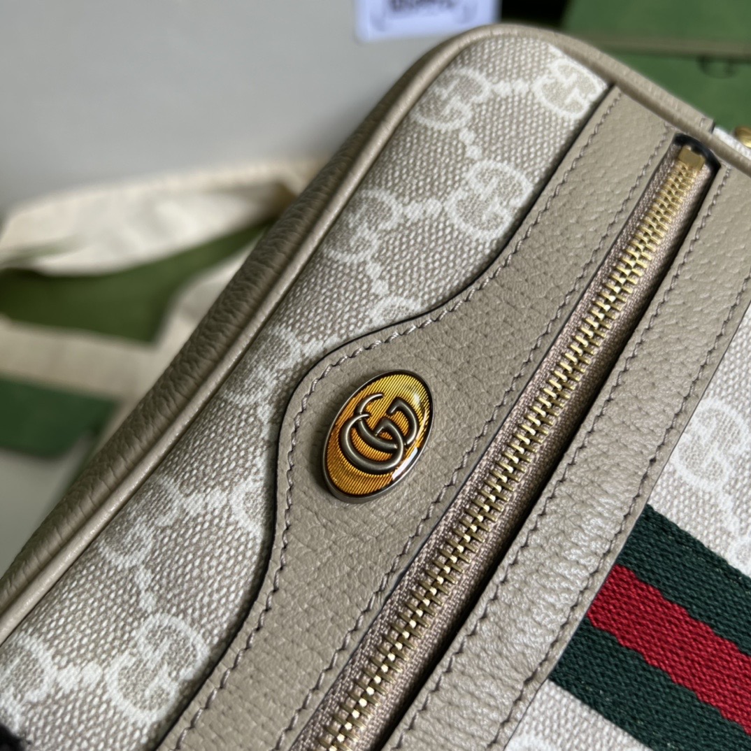 Gvc*1 Ophidia GG mini bag 517350